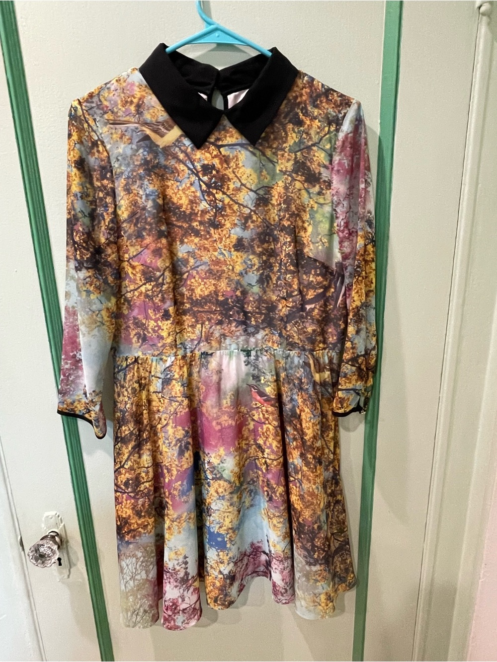 Ted Baker size 3 Floral Multicolor Fit-and-Flare Dress with Black Collar